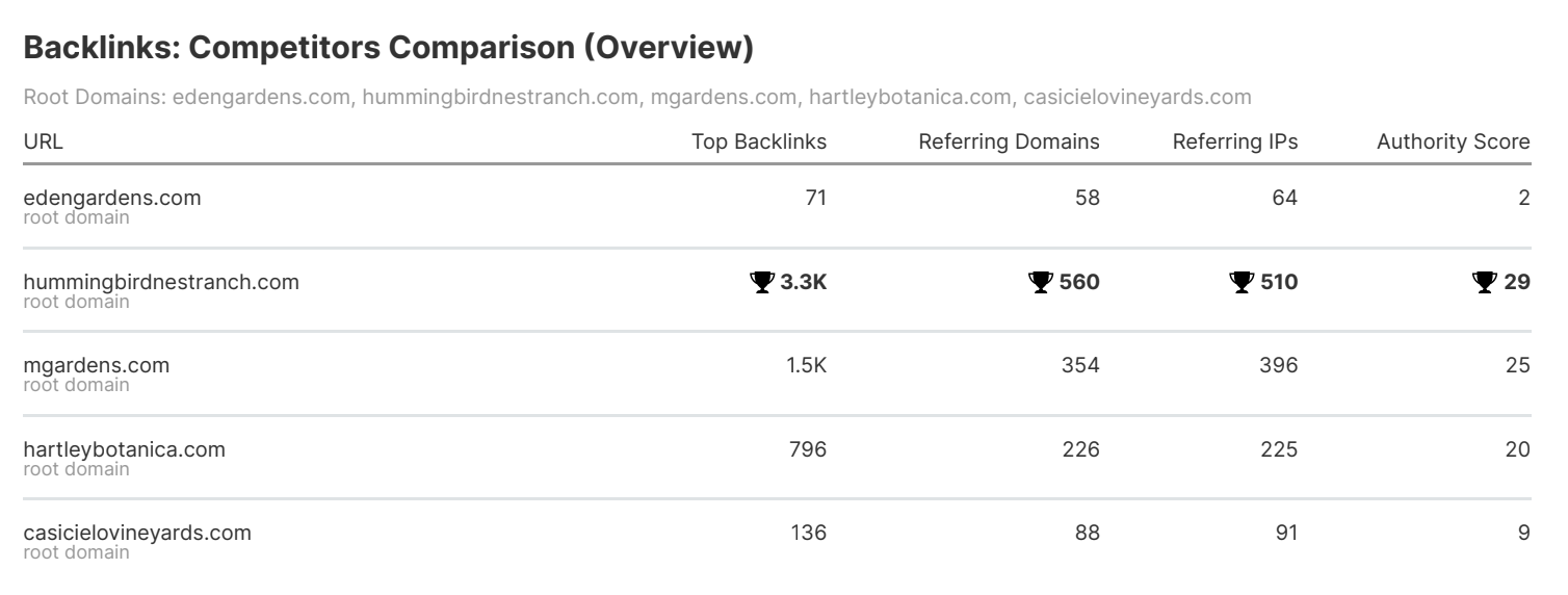 domain authority could be why-your-website-isn't-ranking